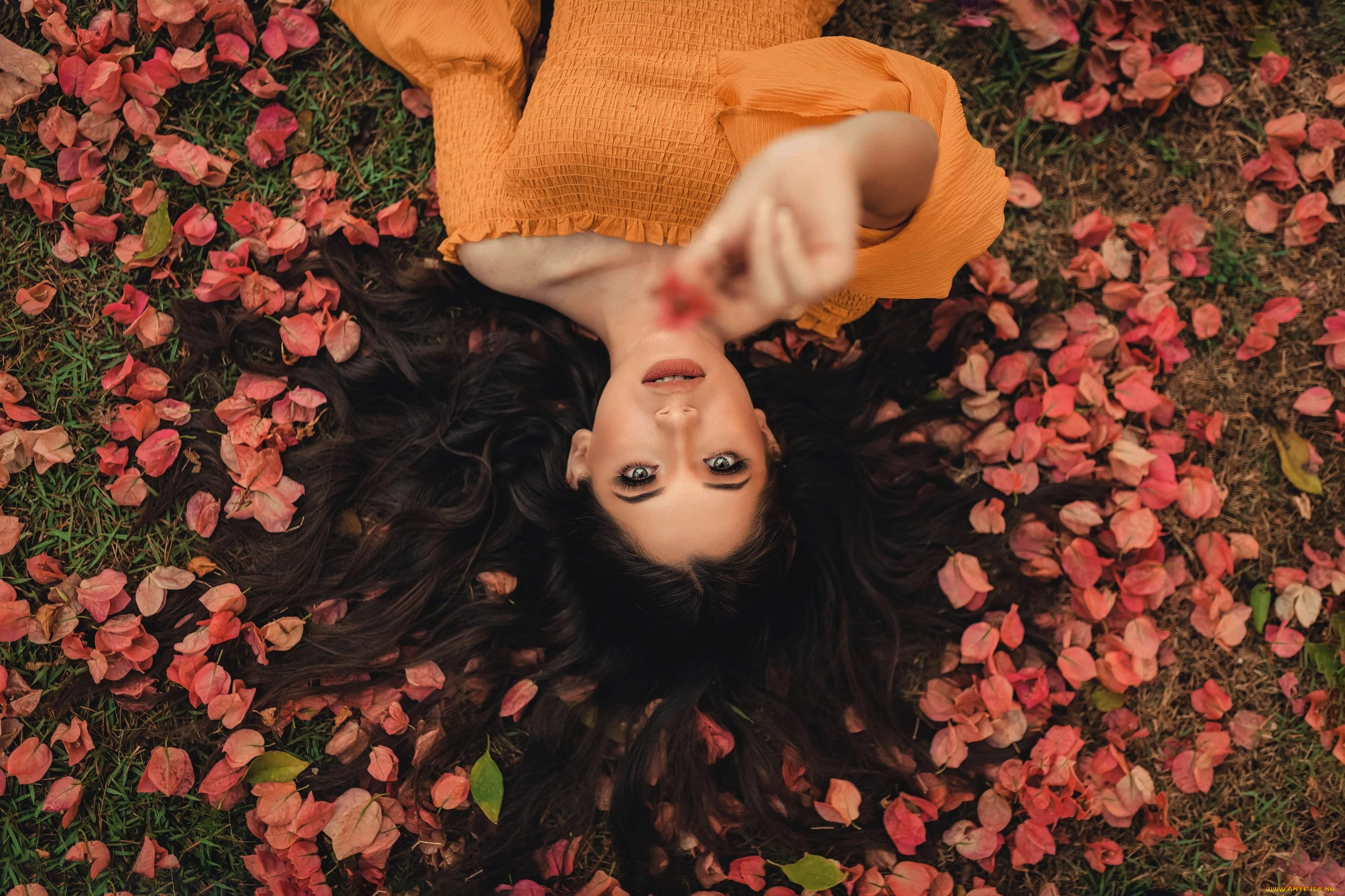 , - ,  , , 